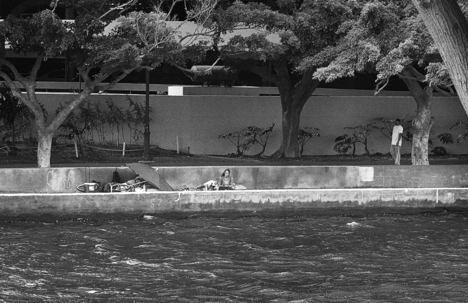 Homeless people on Ala Wai Promenade