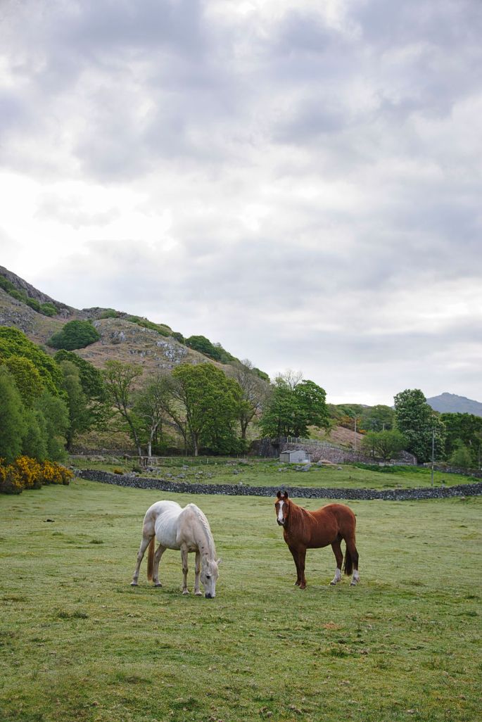 Nikon D810 28-300 Police Mutual Scarfell Pike Cumbria Lake District